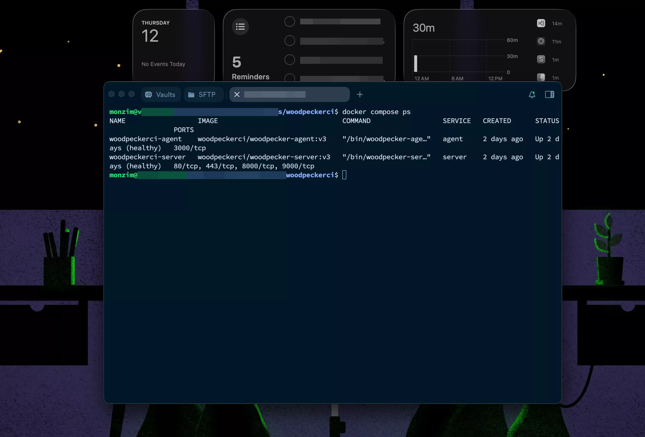 Terminal output showing both woodpecker-server and woodpecker-agent containers running successfully